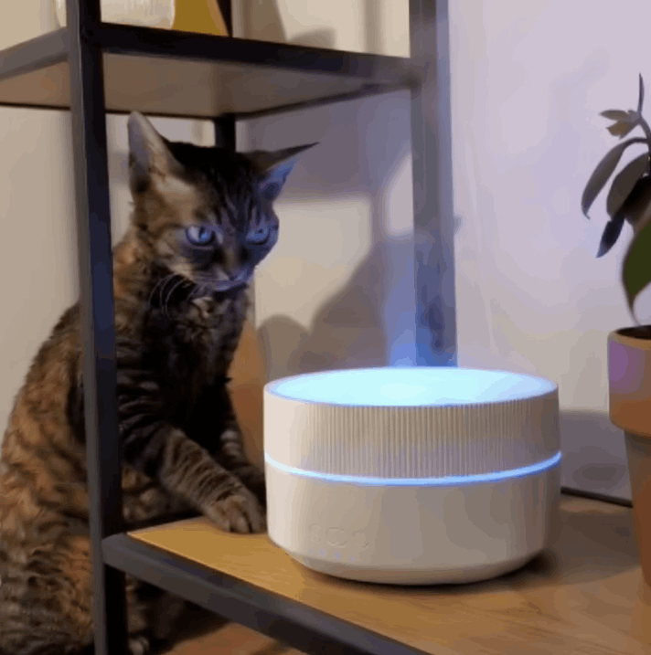 Clairu Humidifier customer review Michelle